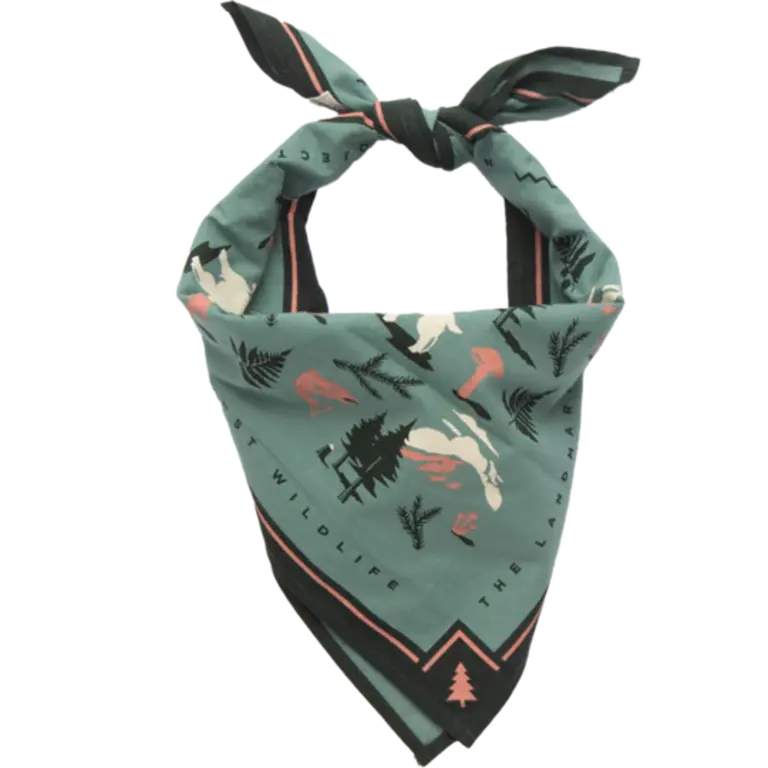 Landmark Proj.  Bandana
