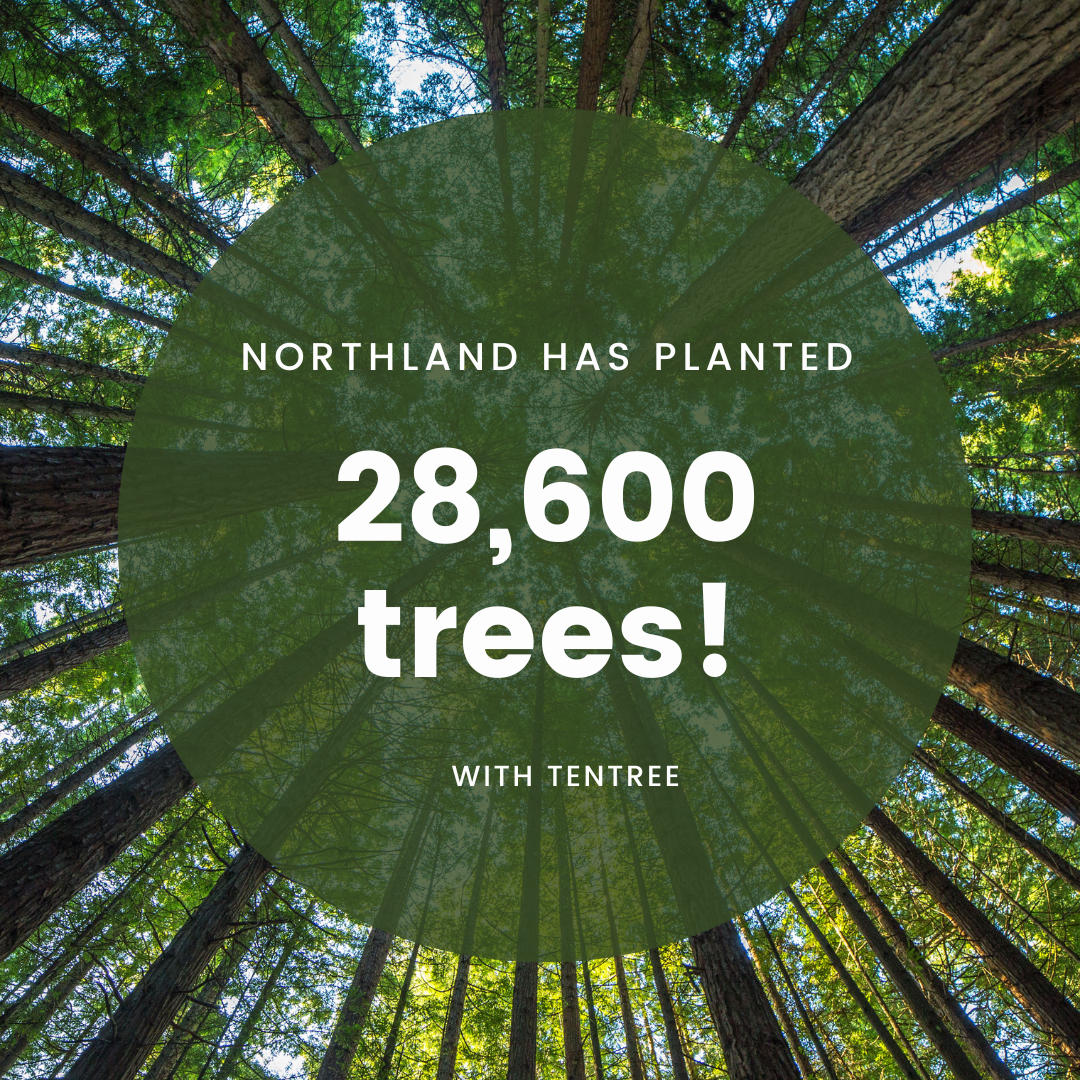 Yay 28.600 trees planted!! .. and counting