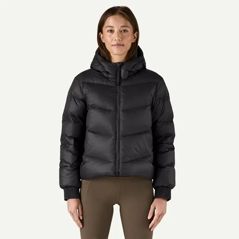 Patagonia W Sindit Hoody Jacket