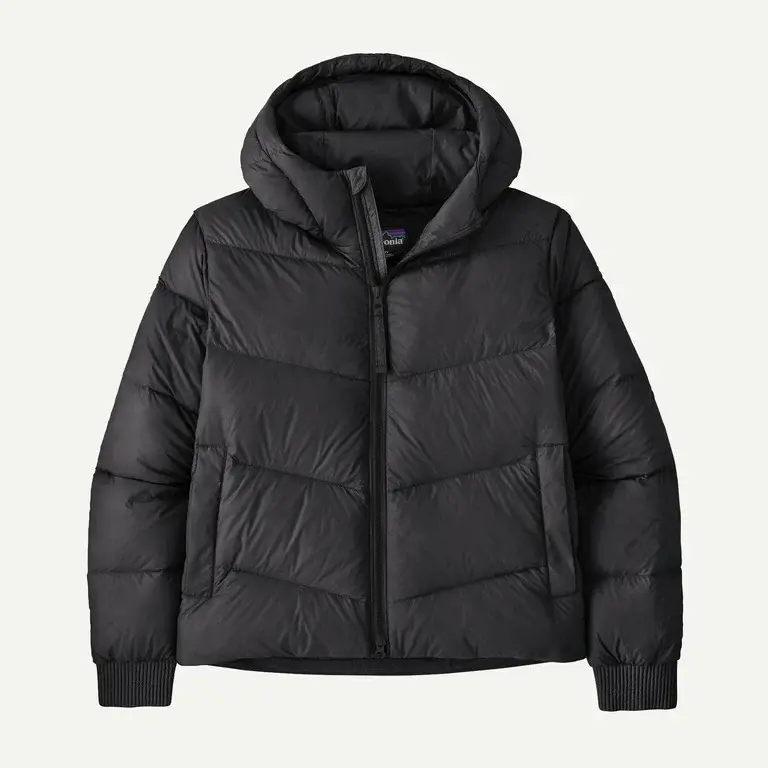 Patagonia W Sindit Hoody Jacket