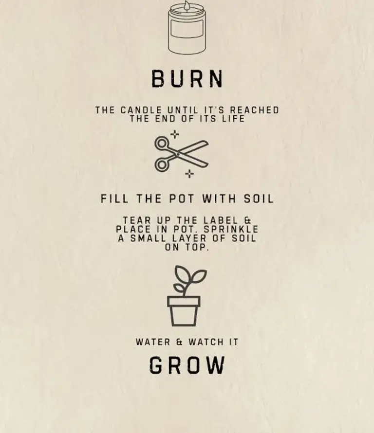 Cabin Candle Cabin Candel Burn and Grow