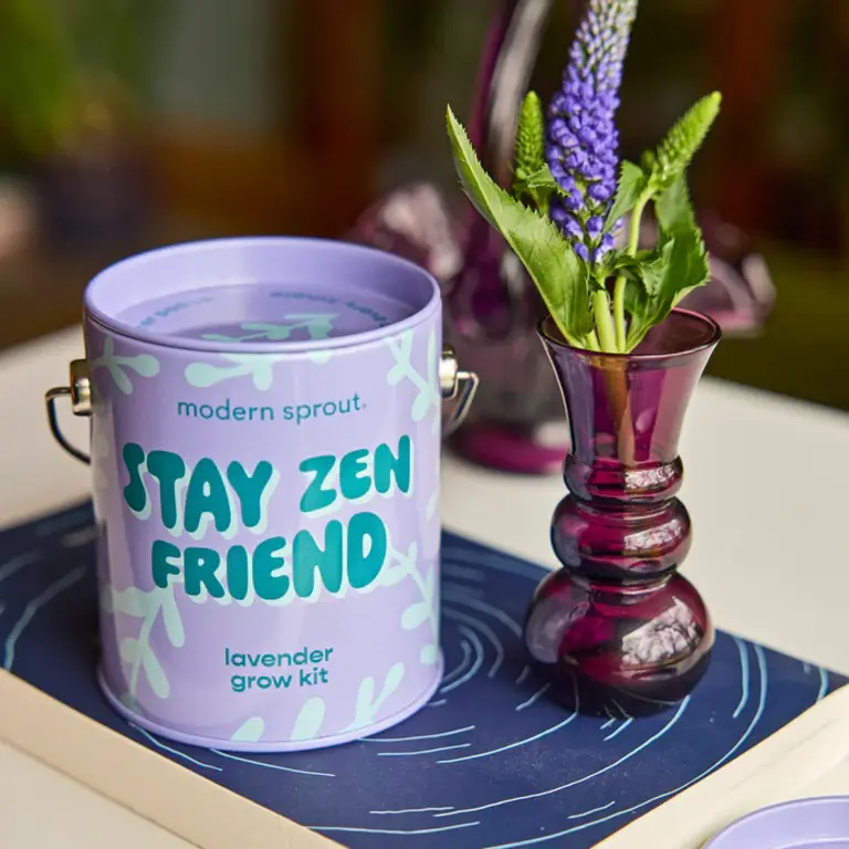 Modern Sprout Complimentary Grow Kit