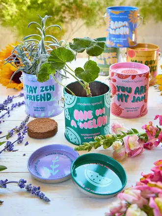 Modern Sprout Complimentary Grow Kit