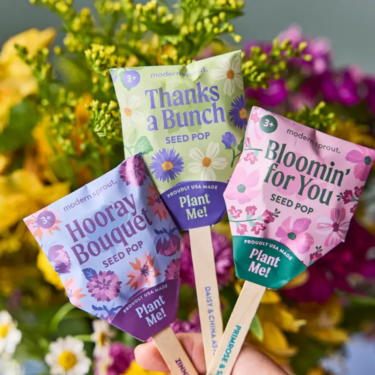 Modern Sprout FLower Seed Pops