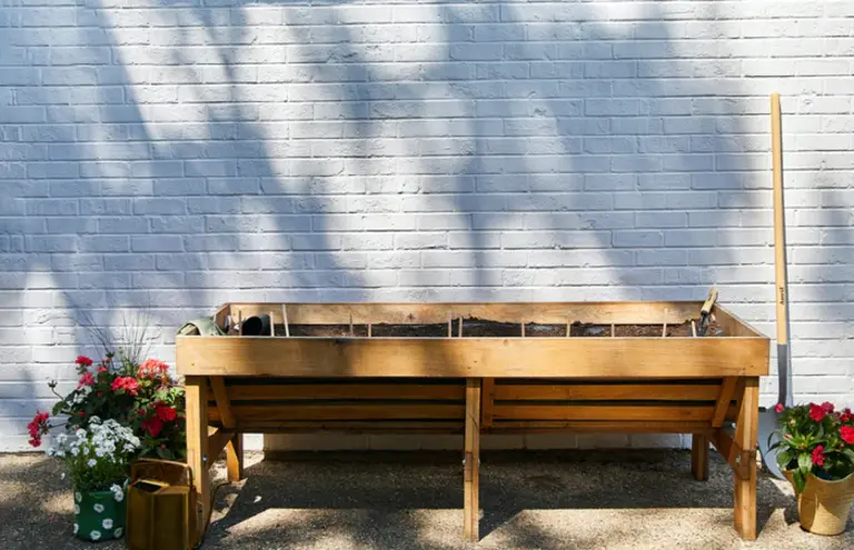 Modern Sprout FLower Seed Pops