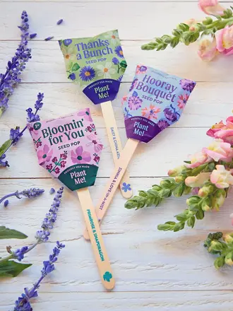 Modern Sprout FLower Seed Pops