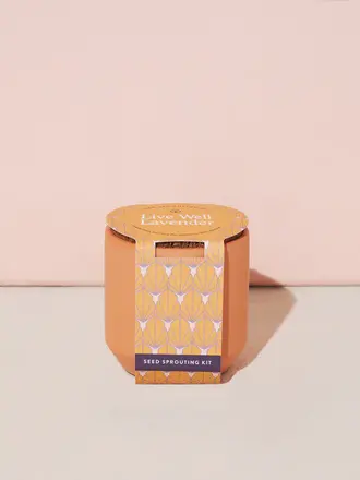 Modern Sprout Tiny Terracotta Grow Kit