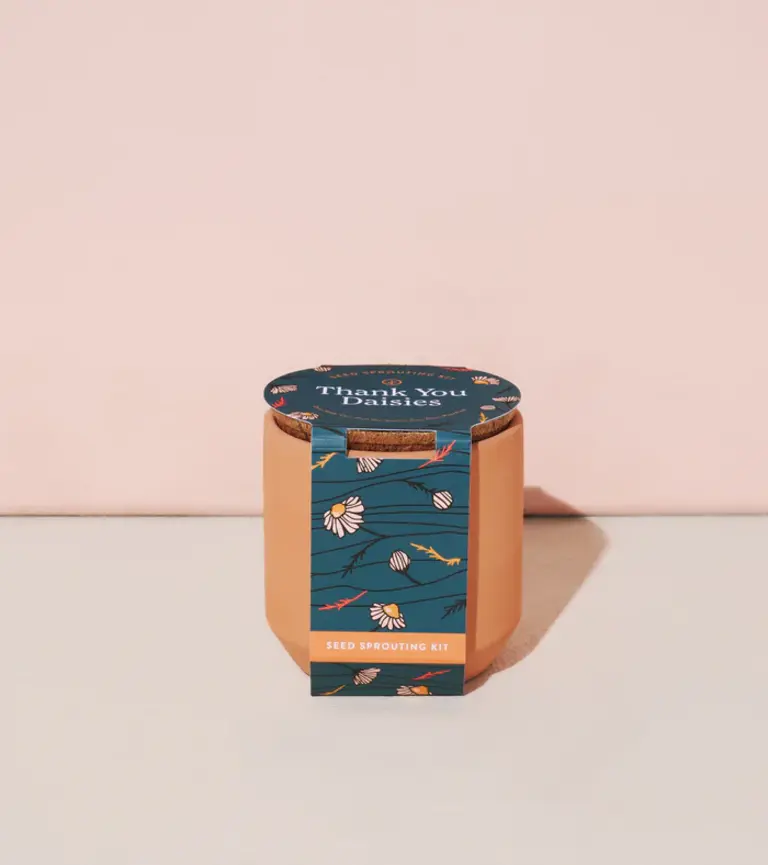 Modern Sprout Tiny Terracotta Grow Kit