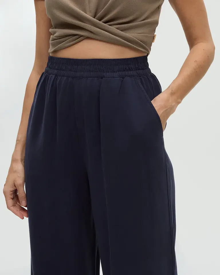 tentree W Kaslo Pant