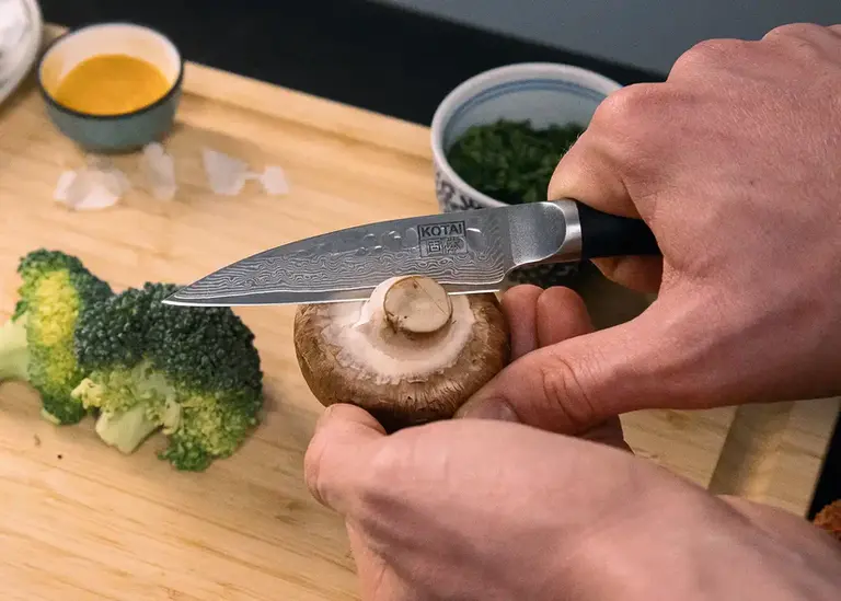 Kotai Paring Knife 9 cm - Pakka Damascus Collection