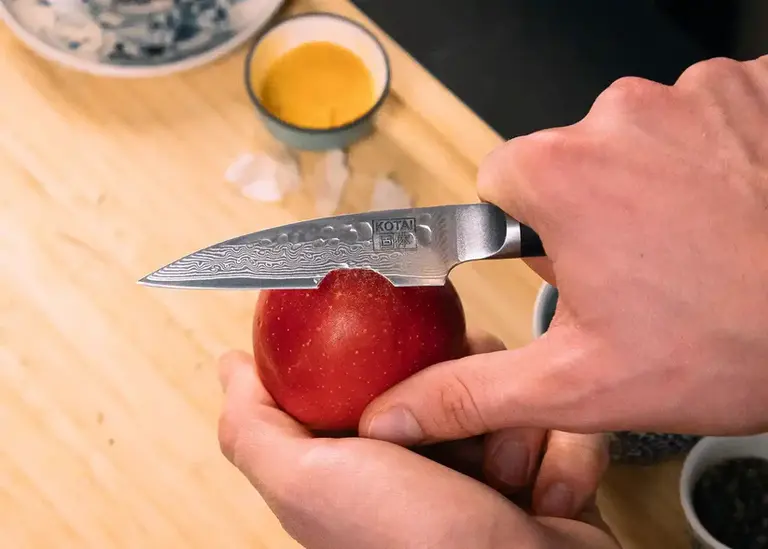 Kotai Paring Knife 9 cm - Pakka Damascus Collection
