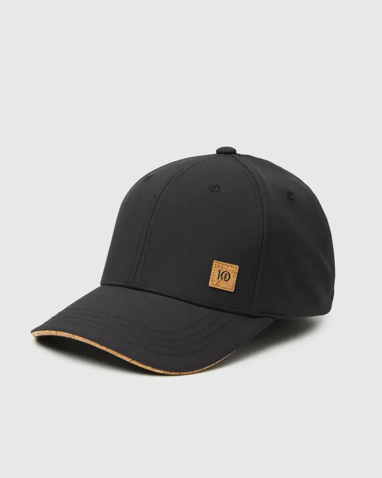 tentree InMotion Cork Icon Hat