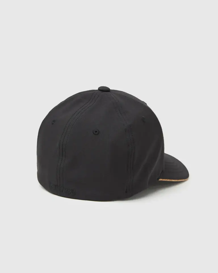 tentree InMotion Cork Icon Hat