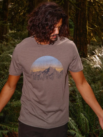 tentree M Vint Sunset Tee