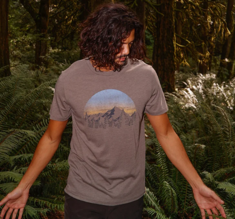tentree M Vint Sunset Tee