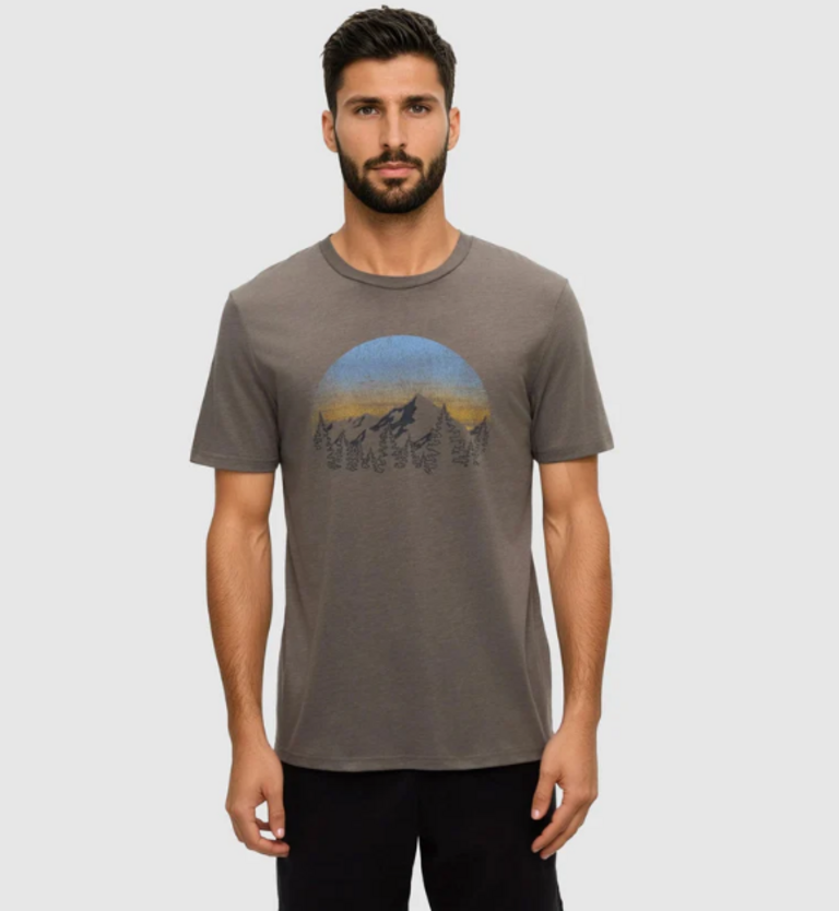 tentree M Vint Sunset Tee