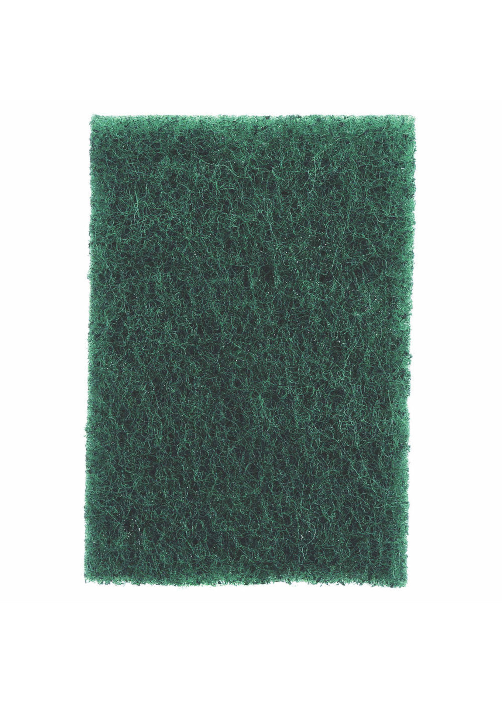 Scour Pad, Green