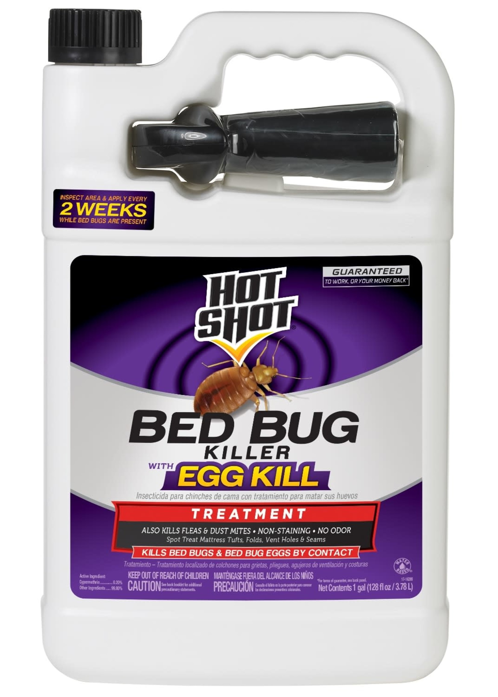 Bed Bug treatment