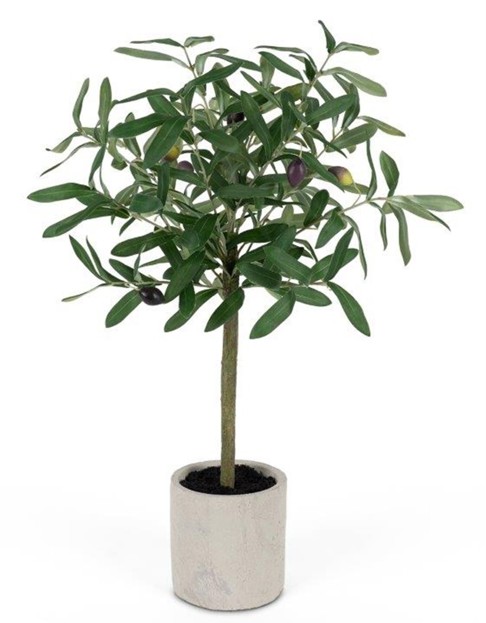 Melrose International Olive Topiary