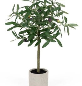 Melrose International Olive Topiary