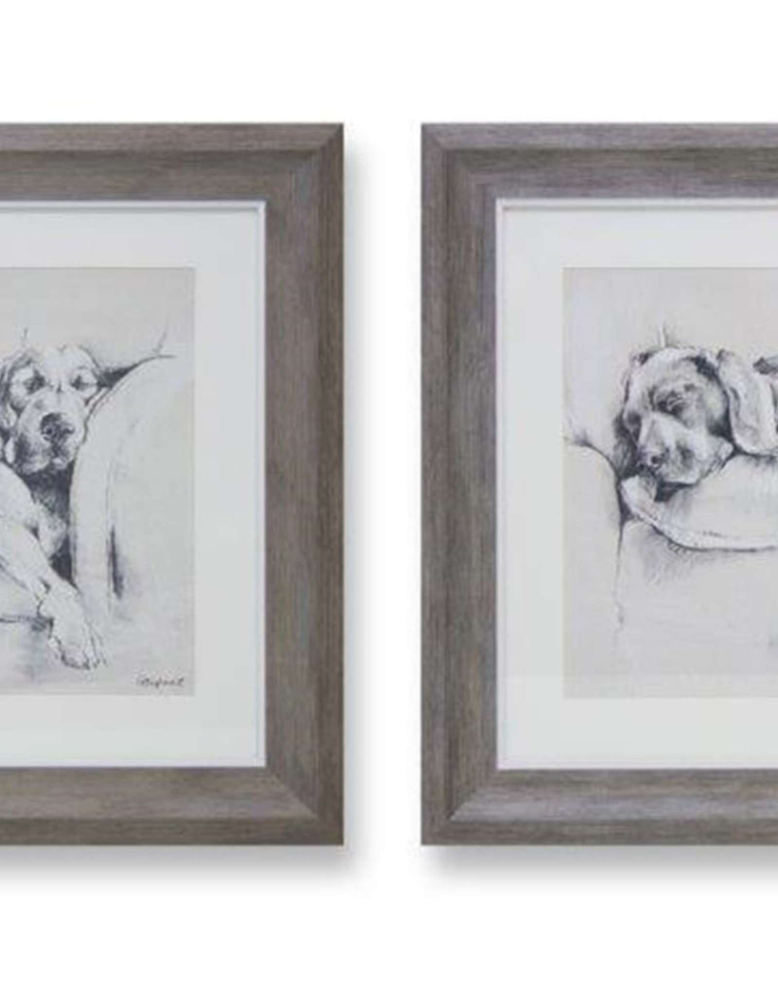Melrose International Framed Dog Print (2 Asst)