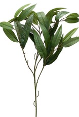 Melrose International Bamboo Spray