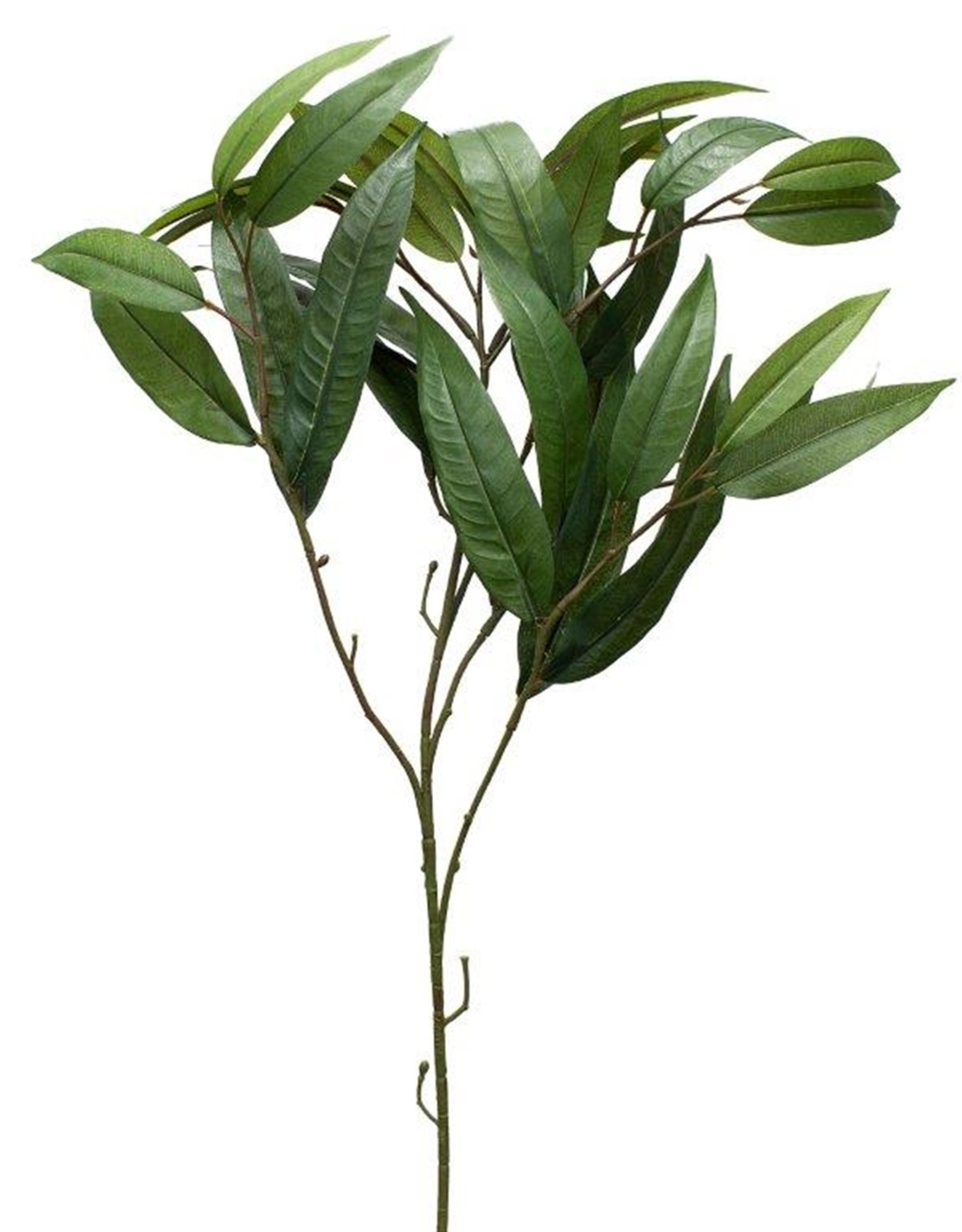Melrose International Bamboo Spray