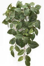 Melrose International White Vein Foliage Bush