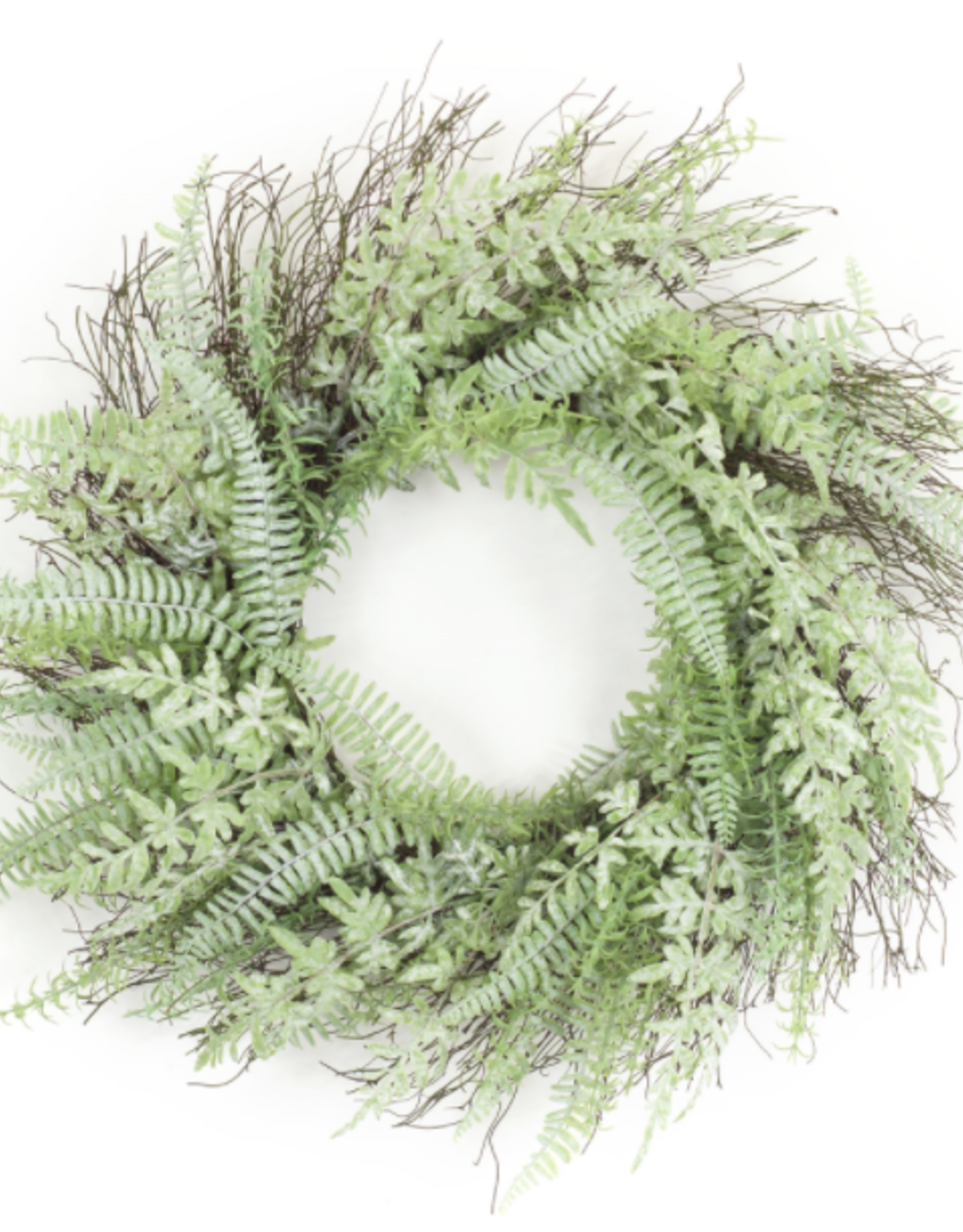 Melrose International Mixed Fern Wreath 24"D Plastic