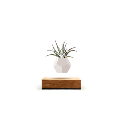 Flyte Flyte: LYFE v1.1 Multi (Single Unit) Flyte Flyte: LYFE v1.1 Multi (Single Unit)