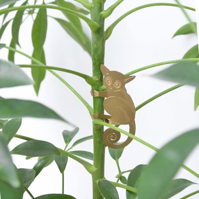 Another Studio Another Studio Plant Animal Bush Baby Another Studio Another Studio Plant Animal Bush Baby