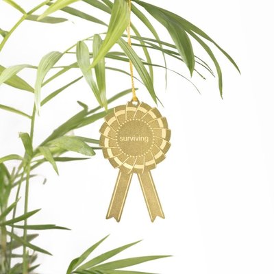 Another Studio Another Studio Plant Award - Surviving Another Studio Another Studio Plant Award - Surviving
