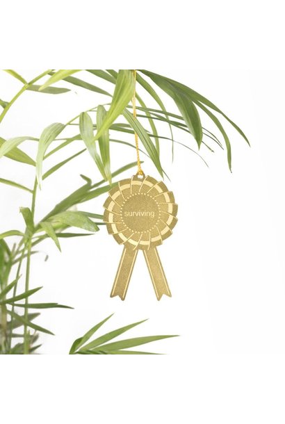 Another Studio Plant Award - Surviving