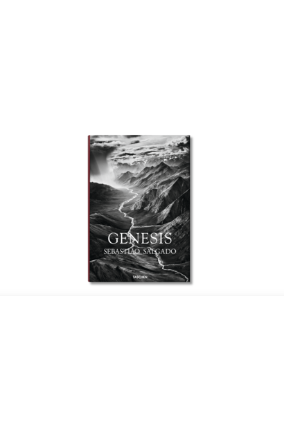 Taschen Salgado, Genesis