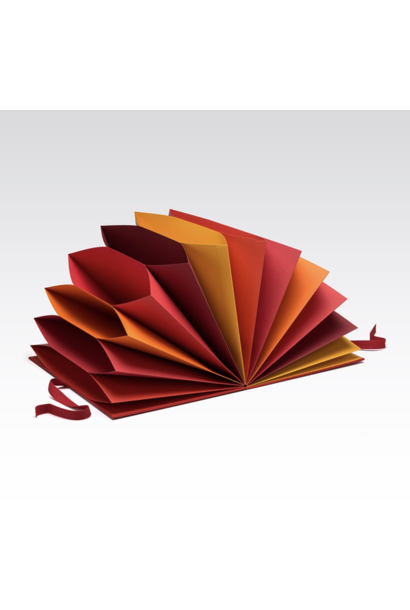 Fabriano Multicolored Folder - Red
