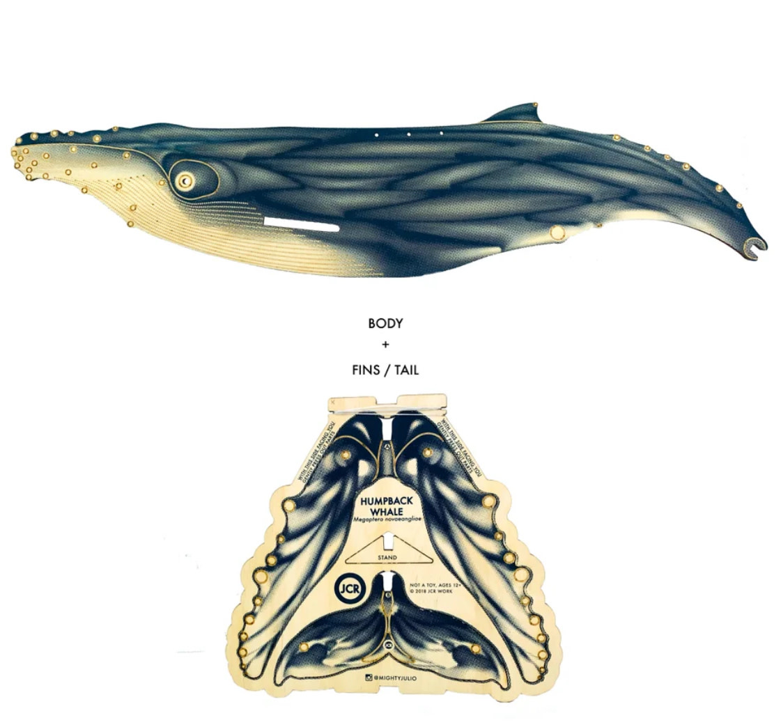 JCR Whales Humpback-2