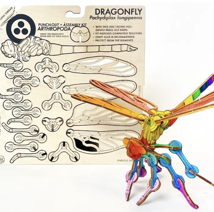 JCR Arthopoda Dragonfly DIY Kit-1