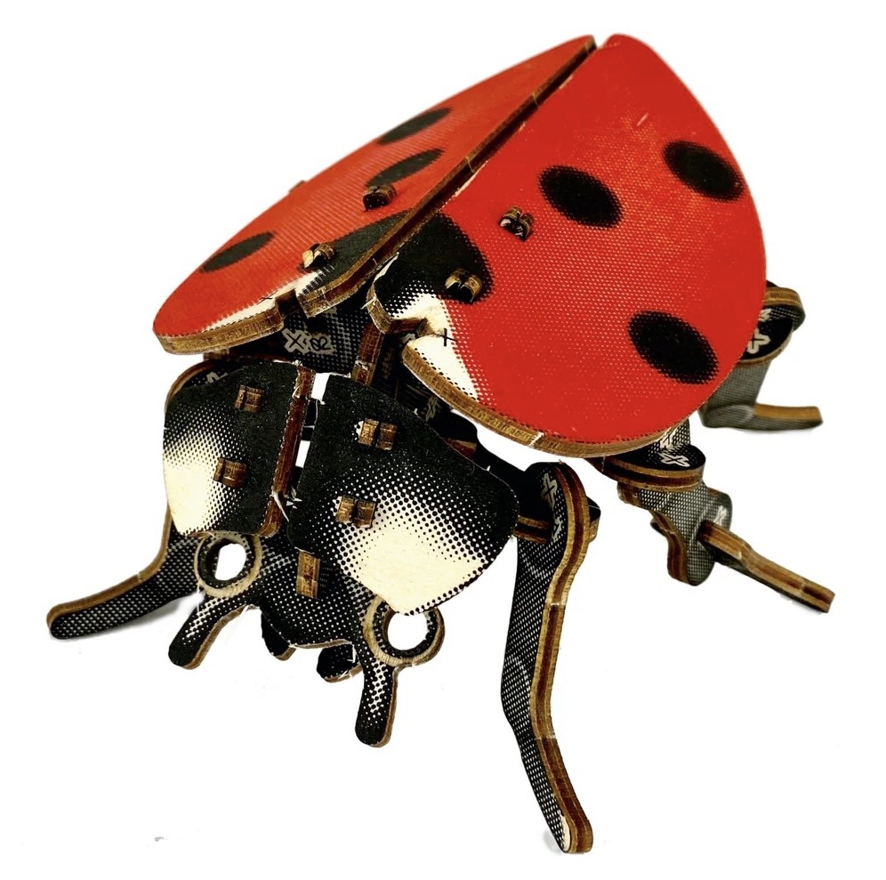 Lady Bug