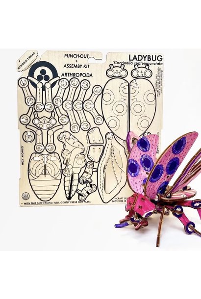 JCR Arthopoda Lady Bug DIY Kit