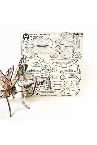 JCR Arthopoda Mantis DIY Kit