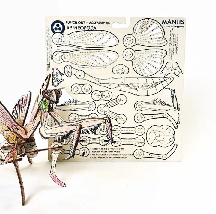 JCR Arthopoda Mantis DIY Kit-1