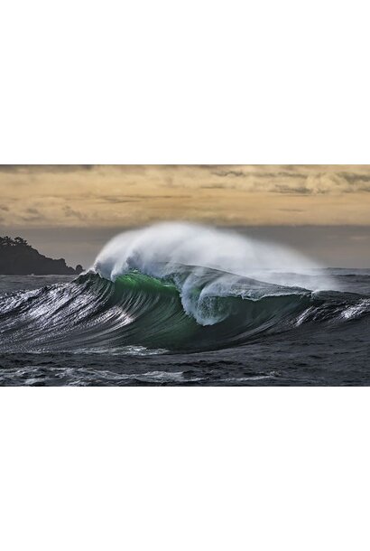 David McColm Emerald Coast