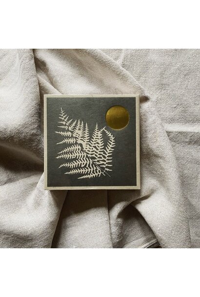 Archivist Safety Matches White Fern