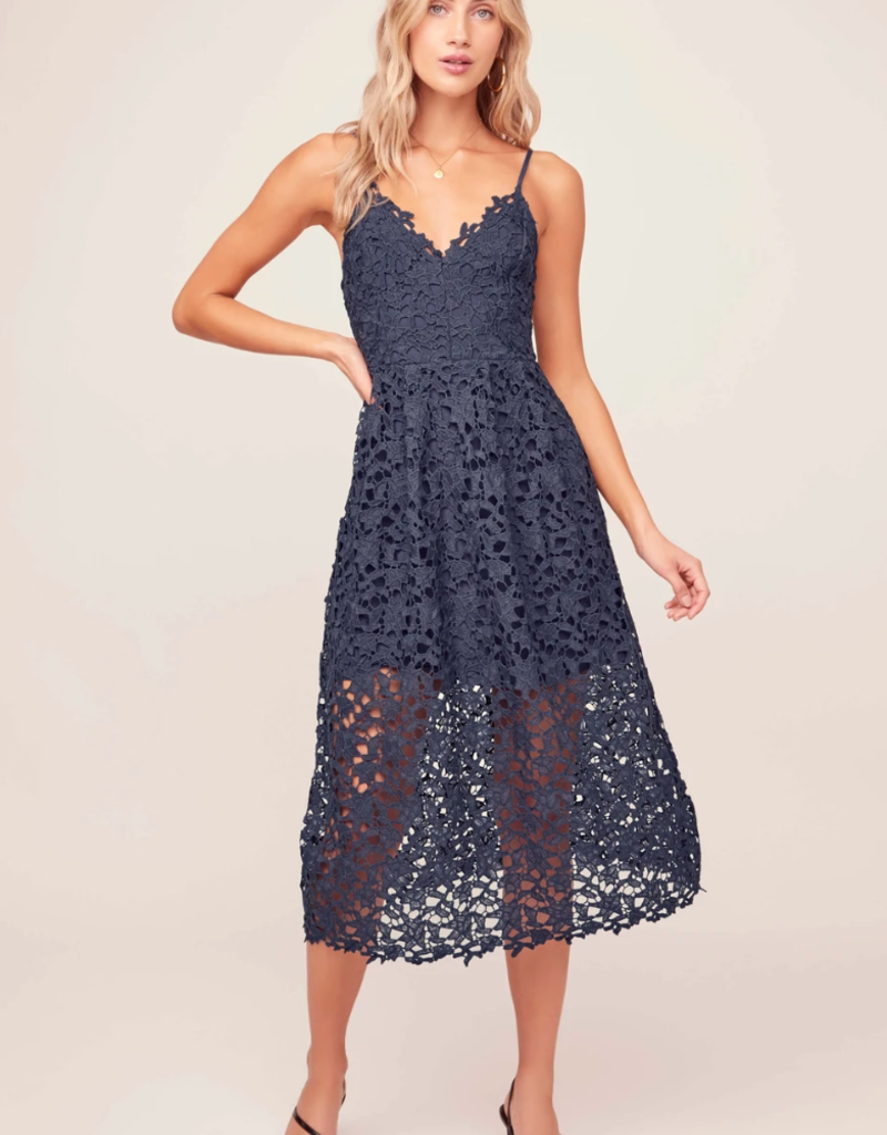 Navy Blue Lace Overlay Gown, Size 0