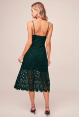 ASTR Kenna Lace Midi Dress in Dark Green