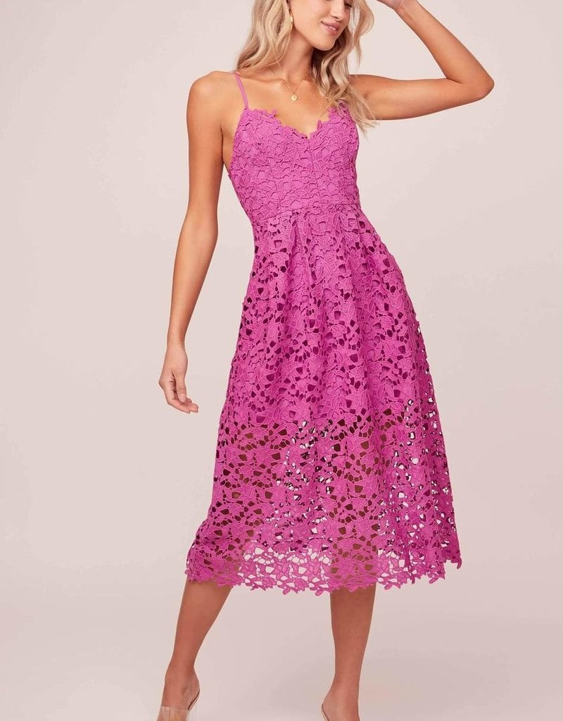 lace midi dress astr