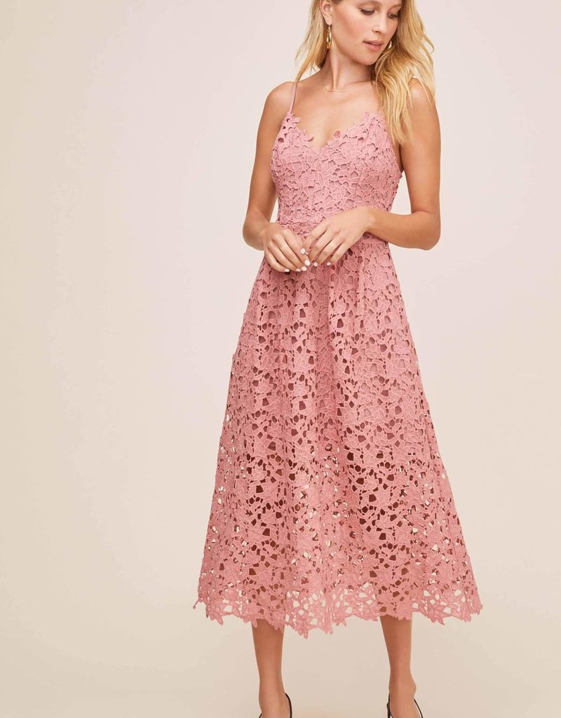 ASTR Kenna Lace Midi Dress in Rose Mauve