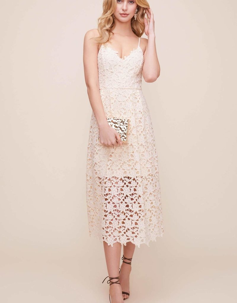 order plus size clothes online