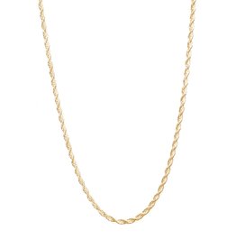 Lisbeth Ambrosia Chain Necklace 2.0 (2.5mm) - Gold