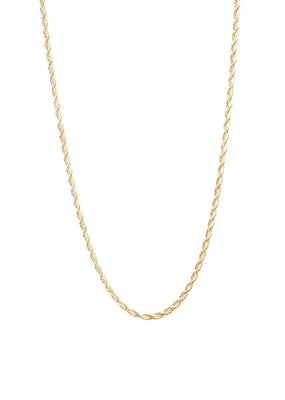 Lisbeth Ambrosia Chain Necklace 2.0 (2.5mm) - Gold